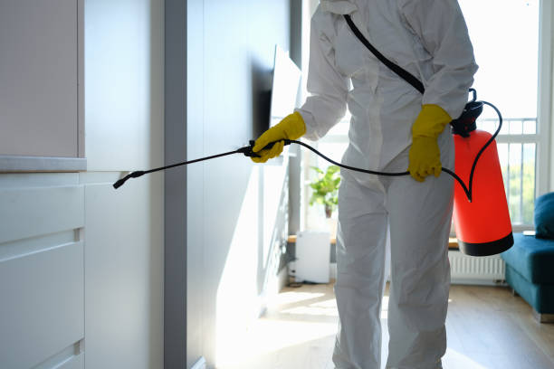 Best Bathroom Mold Remediation in Hebron, IL