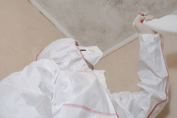 Best Mold Remediation for Specific Building Types in Hebron, IL